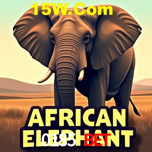 A Experiência Imersiva dos Cassinos Ao Vivo no 0185 Bet